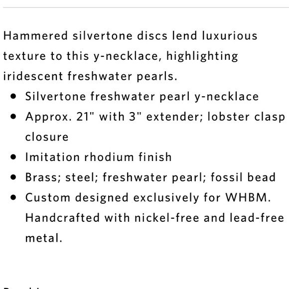 ✨WHBM Y-Necklace - Picture 6 of 8